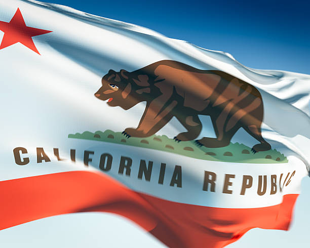 California flag waving in the wind. Elaborate rendering including motion blur and even a fabric texture (visible at 100%).