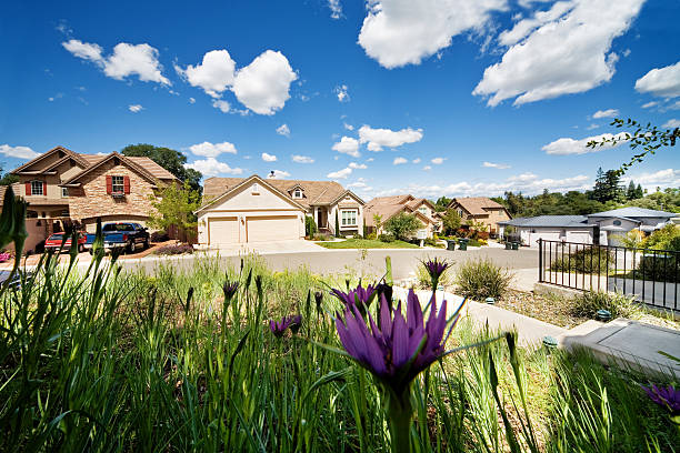 uma vizinhança suburbanos e frente quintal jardim. - sacramento county imagens e fotografias de stock