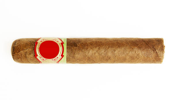 Cuban cigar cigar isolated on white cigar photos stock pictures, royalty-free photos & images