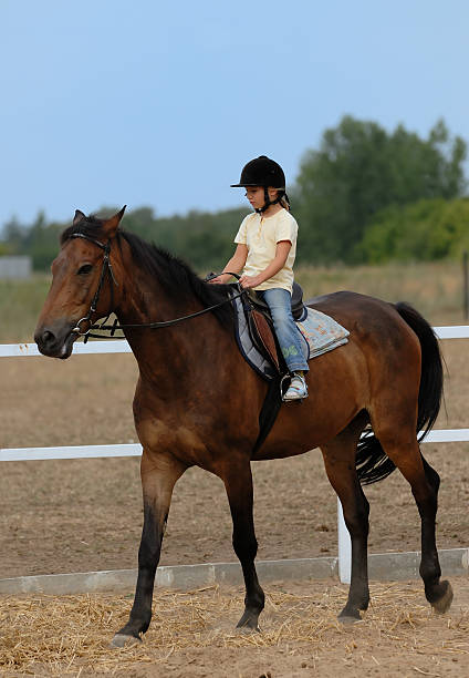 istock Little girl on a horse 172163996