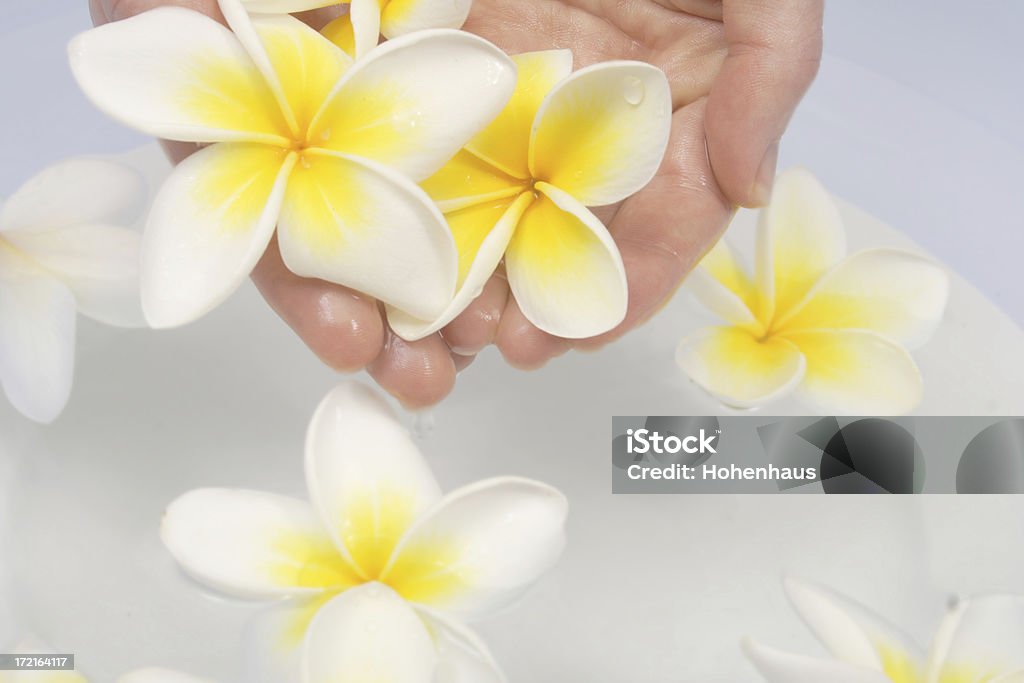 Sanfte frangipani " - Lizenzfrei Alternative Medizin Stock-Foto