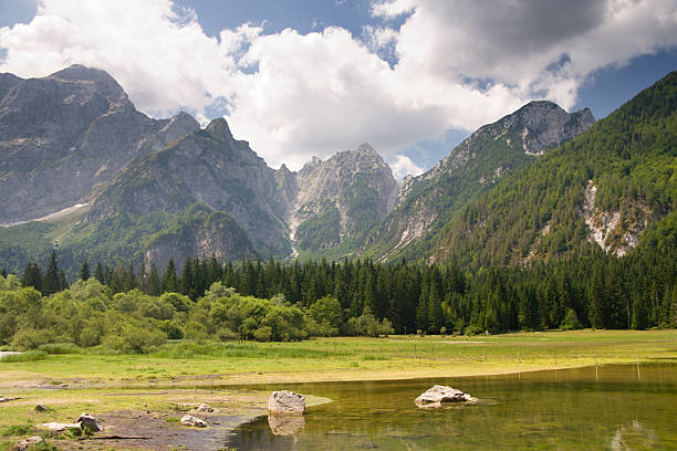 góra dolina - cumulus cloud lake water forest zdjęcia i obrazy z banku zdjęć