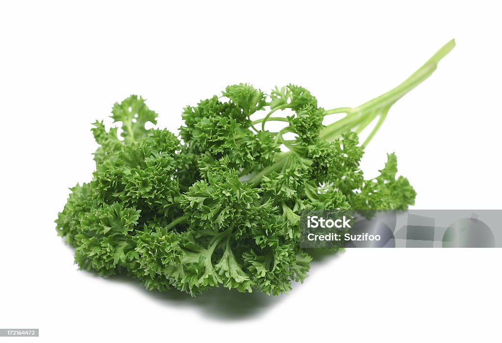 curly parsley "A bunch of curly parsley, isolated on white." Close-up Stock Photo