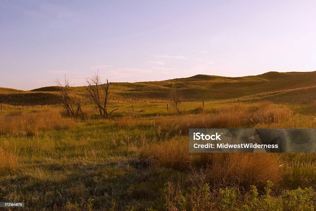 Prairie - Foto de stock de Nebrasca royalty-free