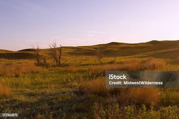 Foto de Prairie e mais fotos de stock de Nebrasca - Nebrasca, Sandhills, Aberto