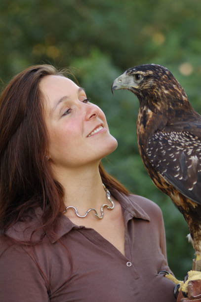 woman with eagle portrait of a woman with a black chested buzzard eagle young black chested buzzard eagle geranoaetus melanoleucus stock pictures, royalty-free photos & images
