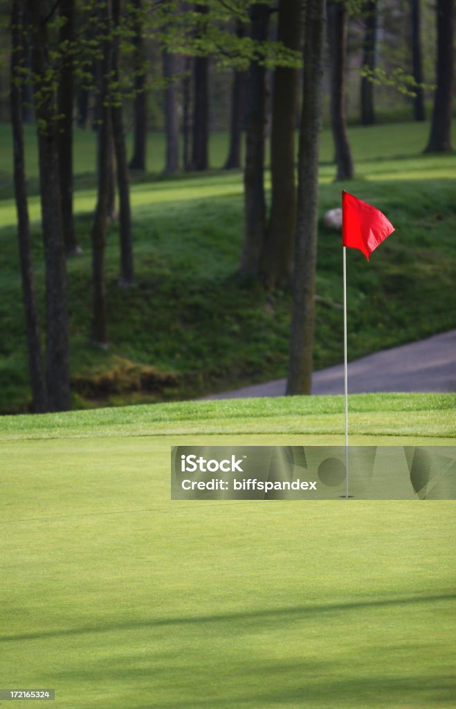Rano Golf Green - Zbiór zdjęć royalty-free (Golf - Sport)