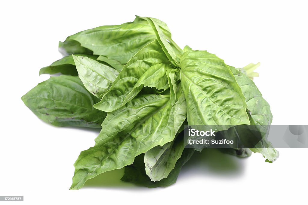 sweet basil's Italian - Foto de stock de Albahaca libre de derechos