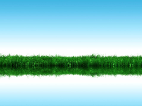 Green Grass Field and clear sky. Copyspace in the sky and water.