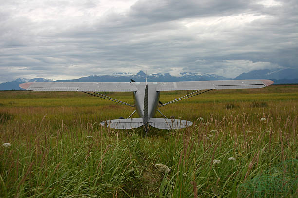 Alasca Bush Avião - fotografia de stock