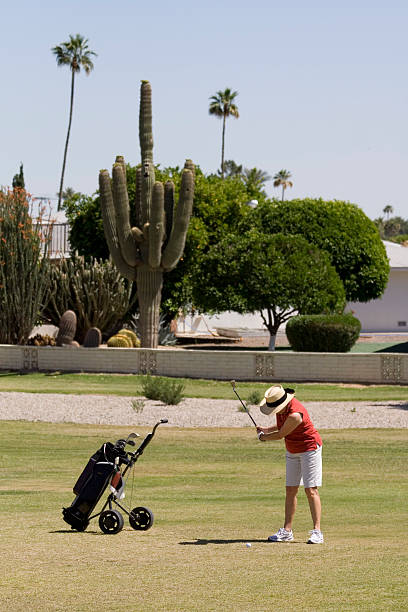 аризона леди пакет услуг «golfer» - golf women golf swing arizona стоковые фото и изображения