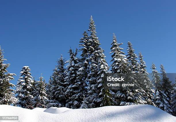 Snow Szene Makellose Stockfoto und mehr Bilder von Baum - Baum, Britisch-Kolumbien, Farbbild