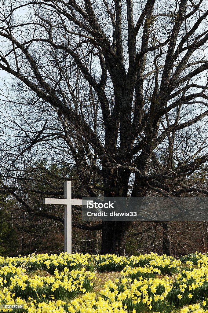Wooden Cross im Bereich der Narzissen - Lizenzfrei Kreuz - Form Stock-Foto