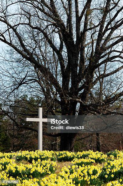 Wooden Cross Im Bereich Der Narzissen Stockfoto und mehr Bilder von Kreuz - Form - Kreuz - Form, Kreuz - religiöses Symbol, Narzisse