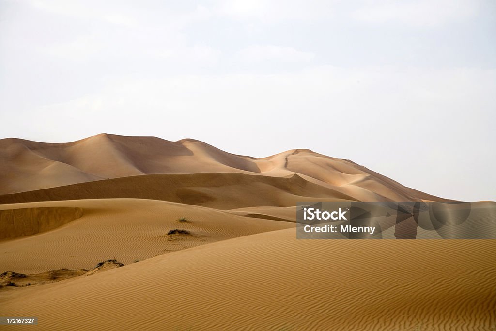 砂漠の景観 - Horizonのロイヤリティフリーストックフォト