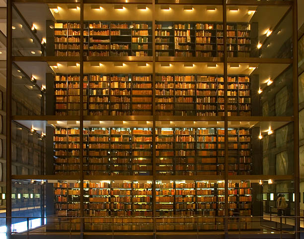 istock The Borg cube ship of Books 172167479