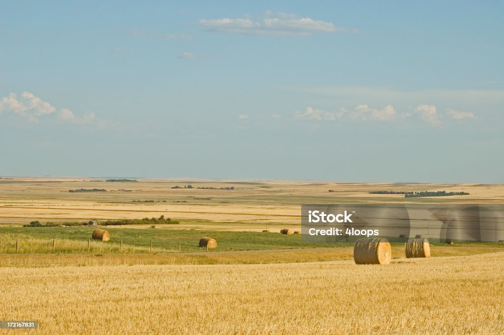 Outono Bale panorâmica - Foto de stock de Agricultura royalty-free