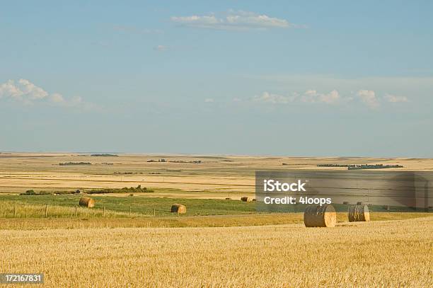 Foto de Outono Bale Panorâmica e mais fotos de stock de Agricultura - Agricultura, América do Norte, Campo