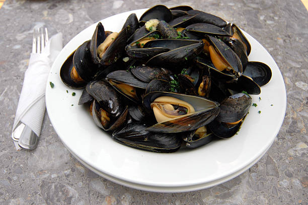 steamed mussles stock photo