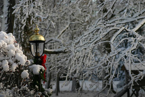 Winter Wonderland stock photo