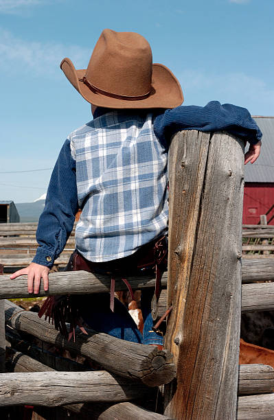 istock Little Cowboy on the Fence 172167999