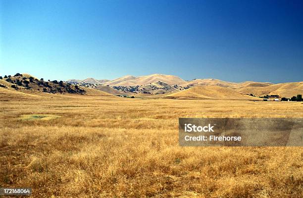 Sozinho Na Pradaria - Fotografias de stock e mais imagens de Agricultura - Agricultura, Ajardinado, Ao Ar Livre