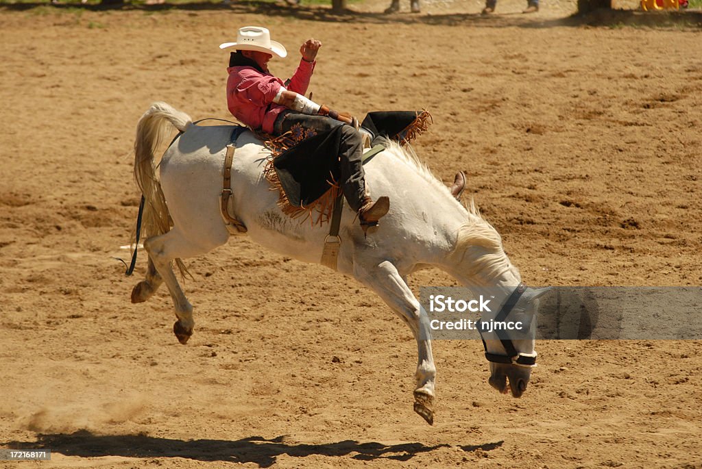 Buckeln Wildpferden - Lizenzfrei Rodeo Stock-Foto