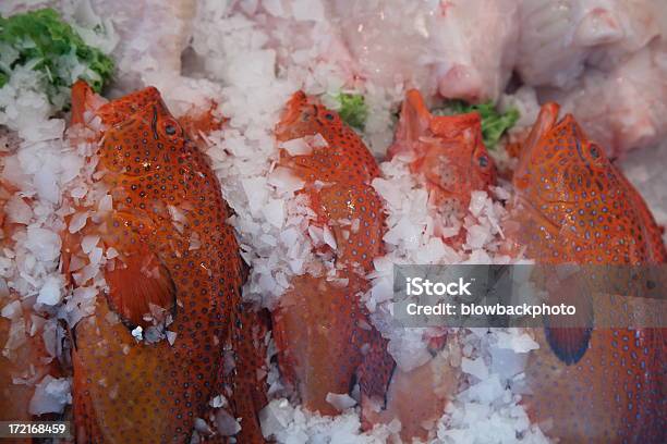 Farmers Market Rdzawa - zdjęcia stockowe i więcej obrazów Bez ludzi - Bez ludzi, Biznes, Fotografika