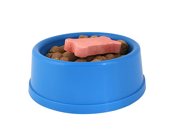 istock Dog Food Bowl 172168566