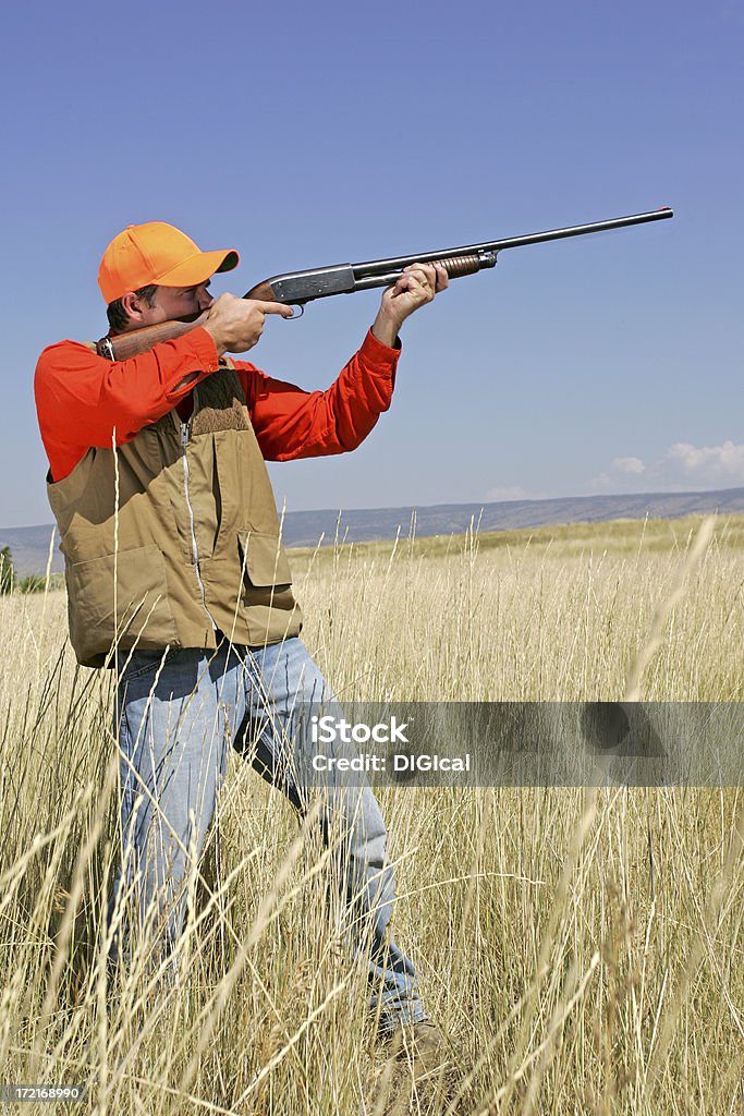 Vogeljagd Series - Lizenzfrei Abfeuern Stock-Foto