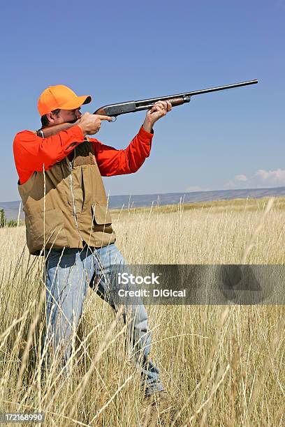鳥を狩るシリーズ - 撃つのストックフォトや画像を多数ご用意 - 撃つ, 鳥, 1人