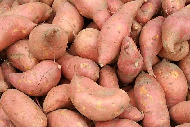 Sweet potatoes or yams on a farmer's market stall in autumn