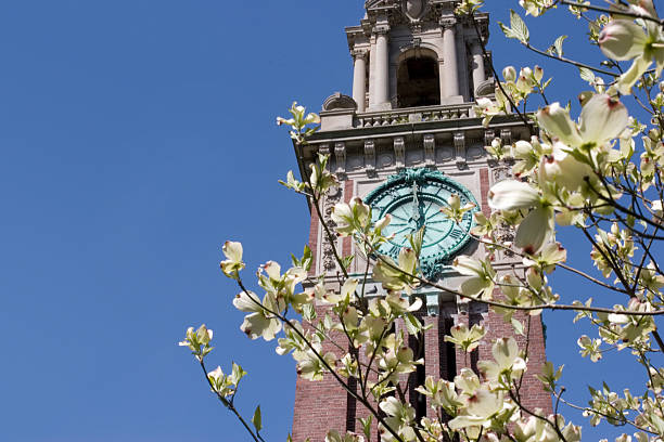 Brown University springtime "Carrie Tower is a symbol of Brown University, Providence, RI. Flowering Dogwood in the foreground." brown university stock pictures, royalty-free photos & images