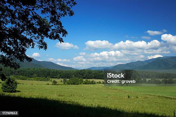 Photo libre de droit de Cades Cove banque d'images et plus d'images libres de droit de Appalaches - Appalaches, Arbre, Baie - Eau