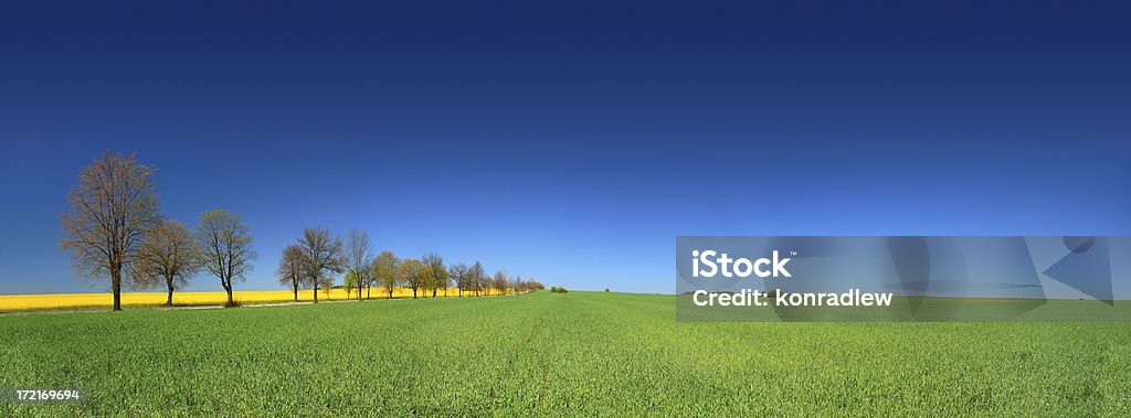 Grüne Feld Landschaft - Lizenzfrei Blau Stock-Foto