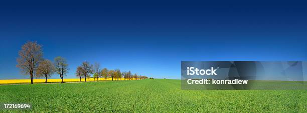 Paisagem De Campo Verde - Fotografias de stock e mais imagens de Azul - Azul, Cor verde, Céu