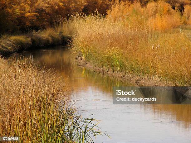 Rio Grande Irrigazione Fosso - Fotografie stock e altre immagini di Rio Grande - Fiume - Rio Grande - Fiume, Terreno paludoso, Acqua