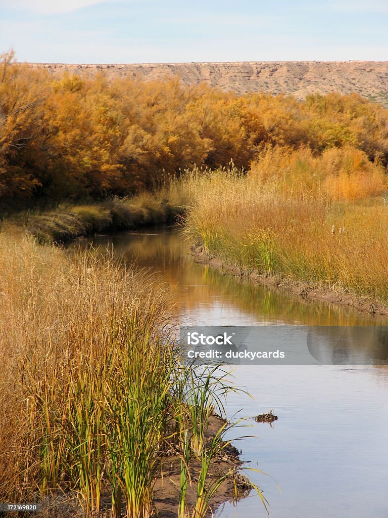 Rio Grande do irygacji Rów - Zbiór zdjęć royalty-free (Stoliwo)