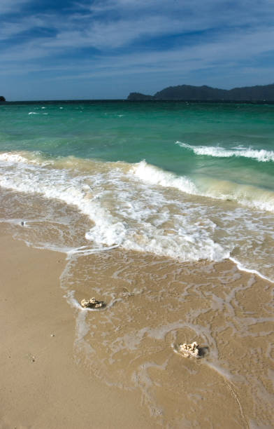 istock Beach Langkawi Island Malaysia 172169956