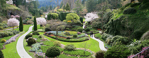 istock Beautiful Butchart Gardens Victoria In The Spring 172169998