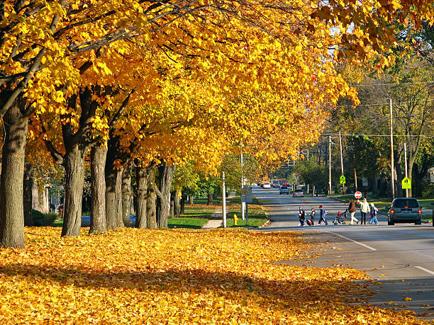 Cтоковое фото School Children Crossing стрит в Осенний