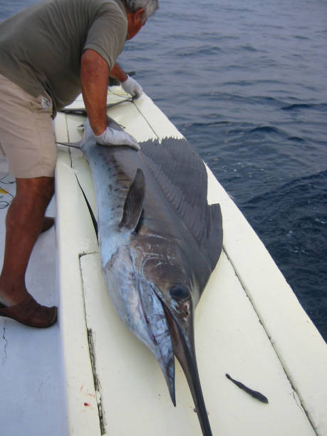 istock Sport Fishing 172170251