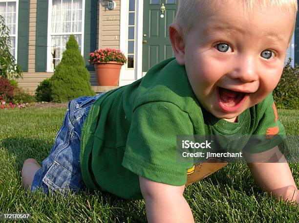 Blonde Baby Smiling And Walking On Grass Stock Photo - Download Image Now - Baby - Human Age, Grass, Happiness