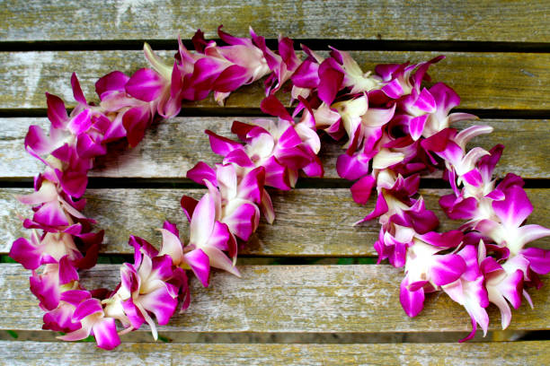 the 자주색 레이 - garland hawaii islands hawaiian culture party 뉴스 사진 이미지