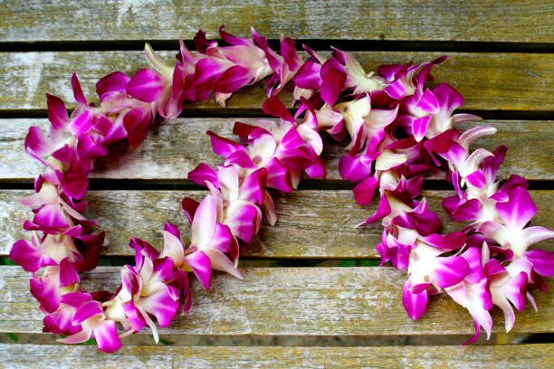 The Purple Lei stock photo