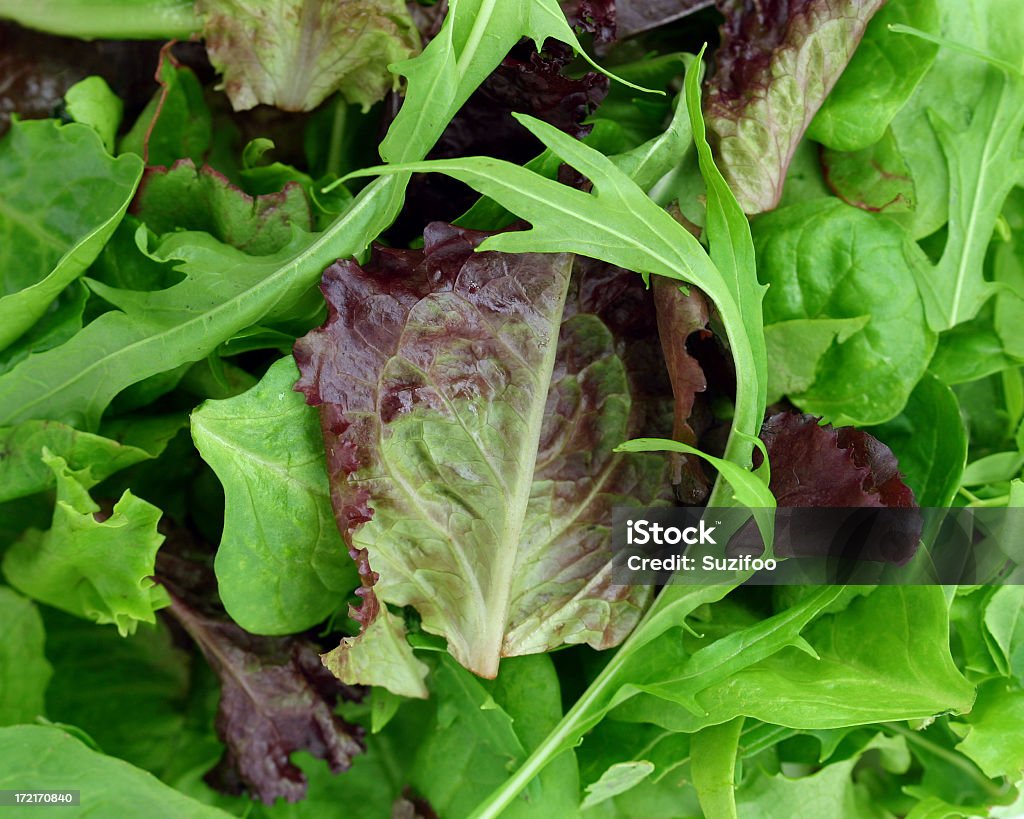 A pile of green and purple leaves like lettuce and arugula Mixed lettuces closeup. Salad Stock Photo