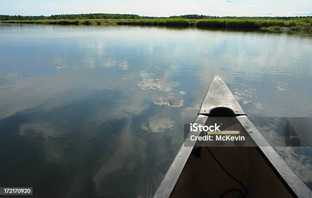 Tipp Von Einem Kanu Auf Einem Salt River Marsh Stockfoto und mehr Bilder von Feuchtgebiet - Feuchtgebiet, Fluss, Fotografie