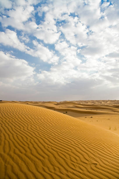 istock desert landscape united arab emirates 172170980