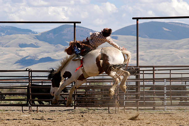 rodeo działania - rodeo cowboy montana bucking bronco zdjęcia i obrazy z banku zdjęć