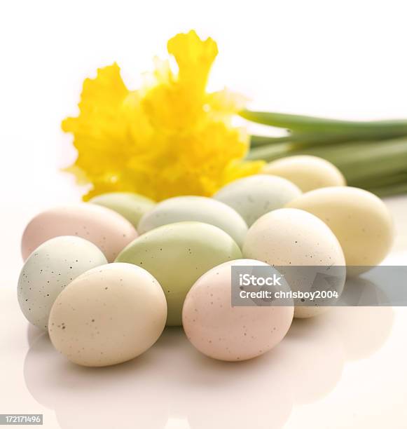 Tempo De Páscoa - Fotografias de stock e mais imagens de Amarelo - Amarelo, Branco, Cabeça de Flor